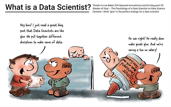 What is a Data Scientist
