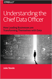 Understanding the chief data officer