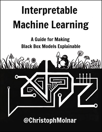 Interpretable Machine Learning