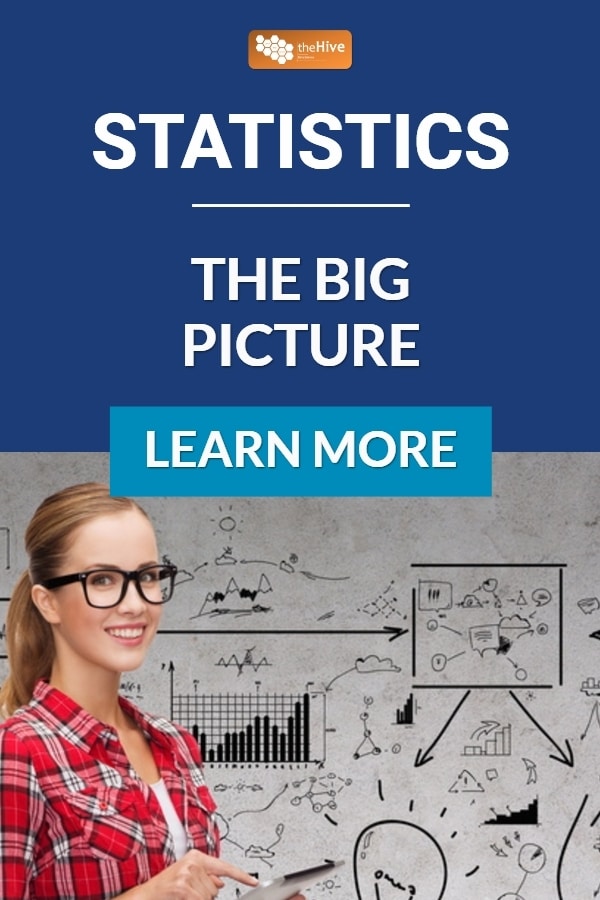 Statistics The Big Picture